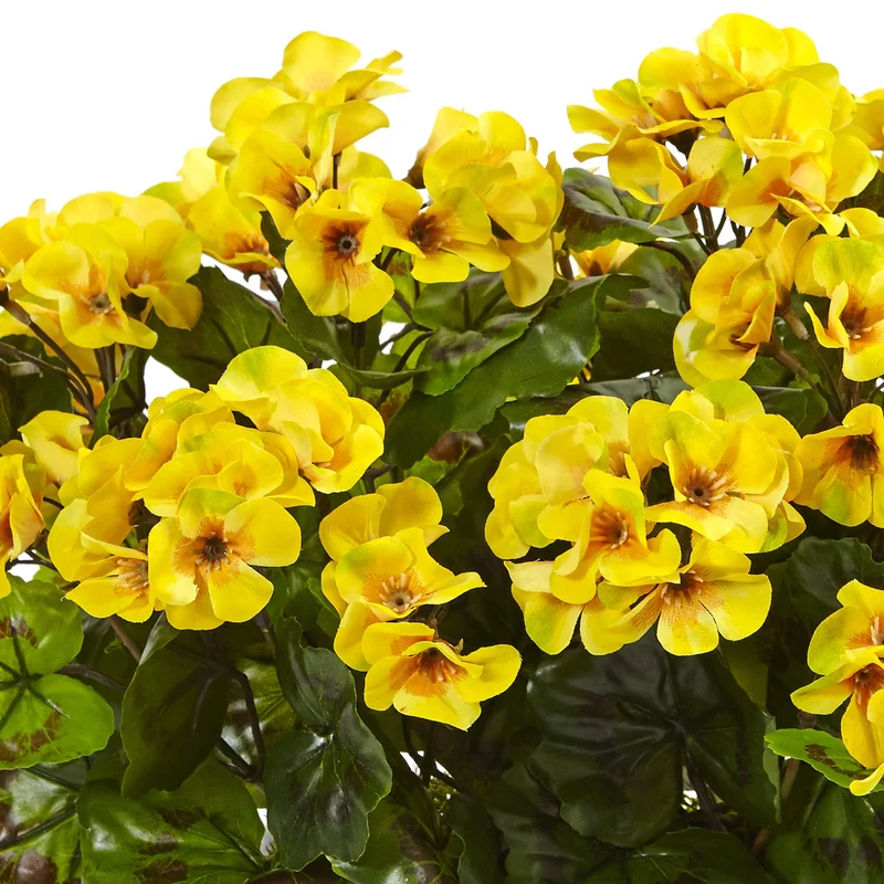 Yellow Geranium Flower Seeds , Rare Golden Blooms, Easy to Grow, Non-GMO