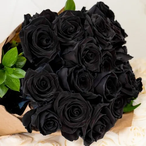 Black Rose Seeds – Dark Blooming Garden Rose for Outdoor Planting