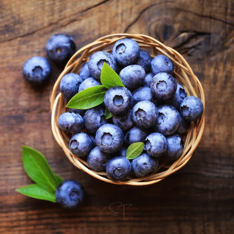 Northern Highbush Blueberry Fruit Seeds