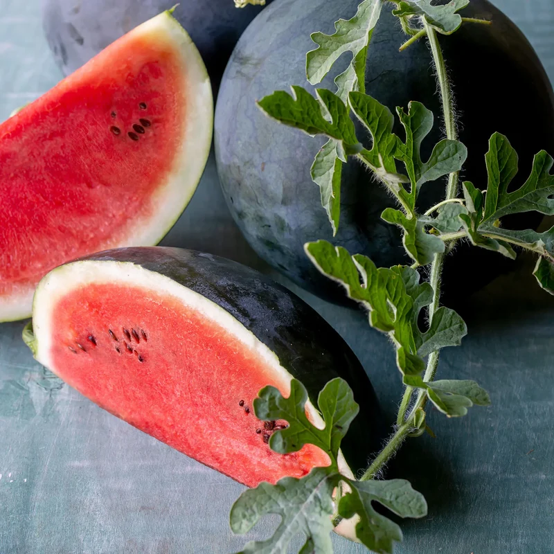 Sugar Baby Watermelon Fruit Seeds