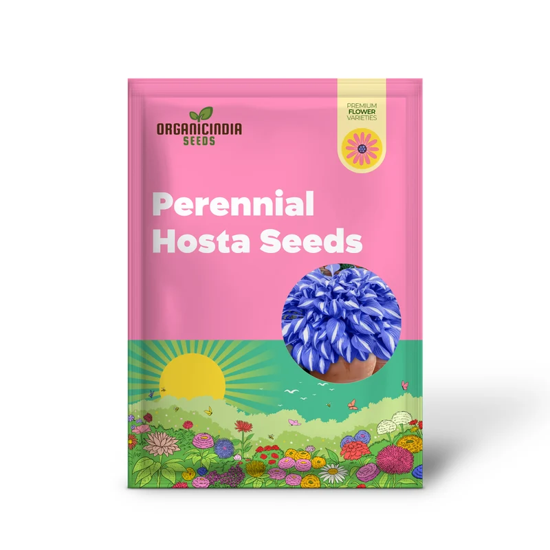 Blue Hosta Plants, Perennial Hosta Seeds for Outdoor Garden Shade, Easy to Grow And Plant