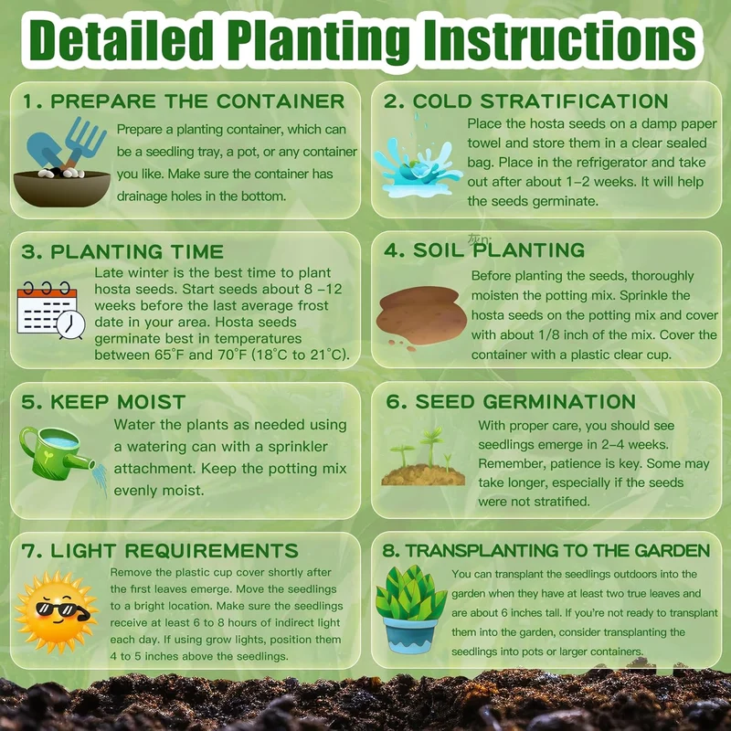 Blue Hosta Plants, Perennial Hosta Seeds for Outdoor Garden Shade, Easy to Grow And Plant