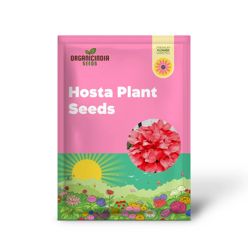 Red Hosta Seeds Ans Perennial Shade Loving Plants for Indoor And Outdoor Gardens, Pollinator Friendly And Low Maintenance