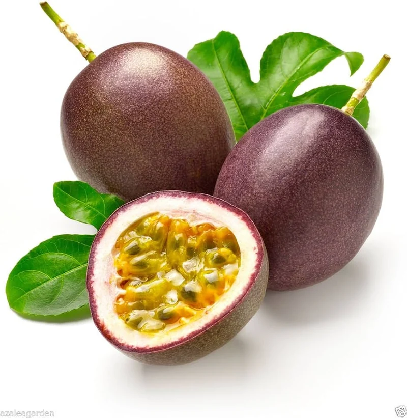Purple Passion Fruit Seeds