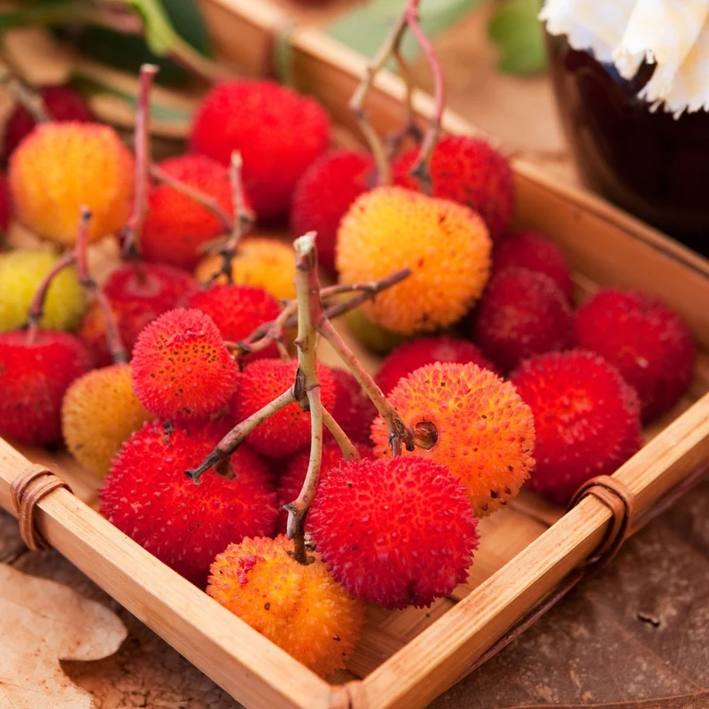 Strawberry Tree Fruit Seeds