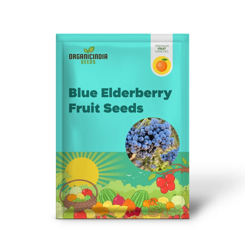 Blue Elderberry Fruit Seeds