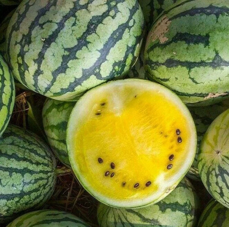 Yellow Flesh Yellow Crimson Watermelon Seeds