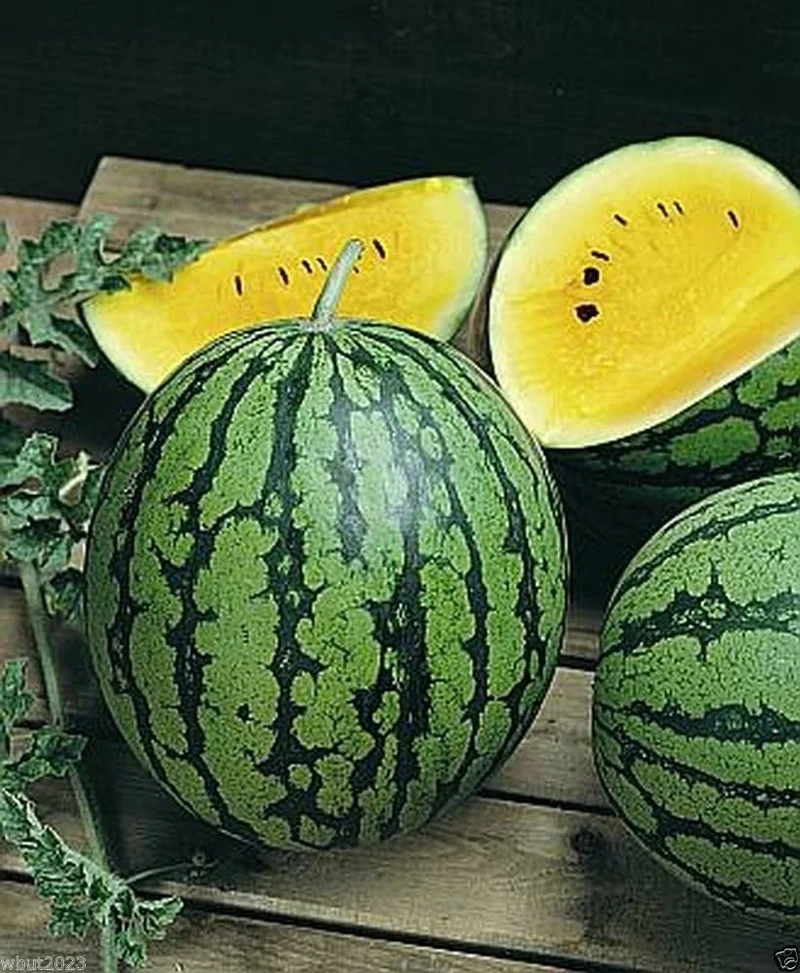 Yellow Flesh Yellow Crimson Watermelon Seeds