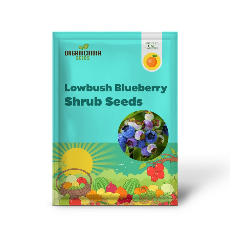 Lowbush Blueberry Shrub Seeds