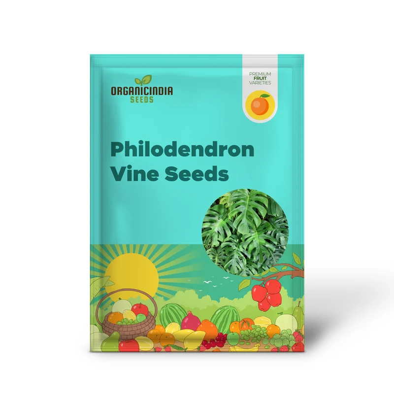 Split Leaf Philodendron Vine Seeds – Organic Tropical Foliage Variety for Home & Garden
