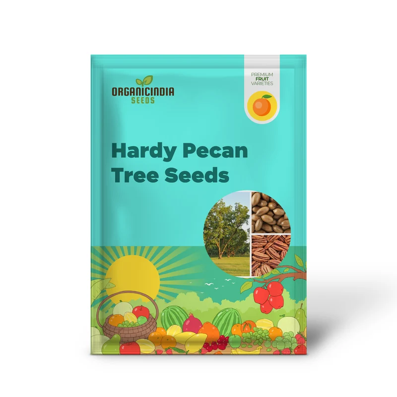 Hardy Pecan Tree Seeds