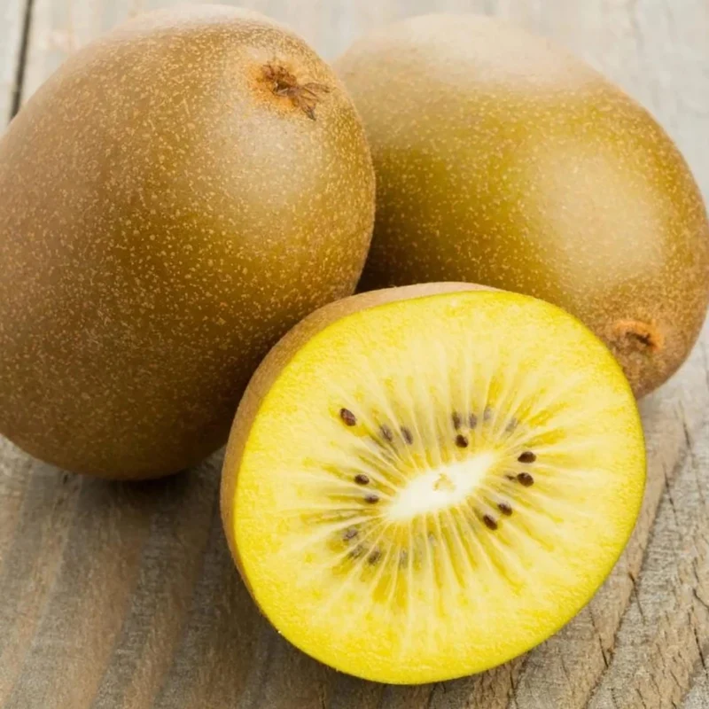 Golden Kiwi Fruit Seeds