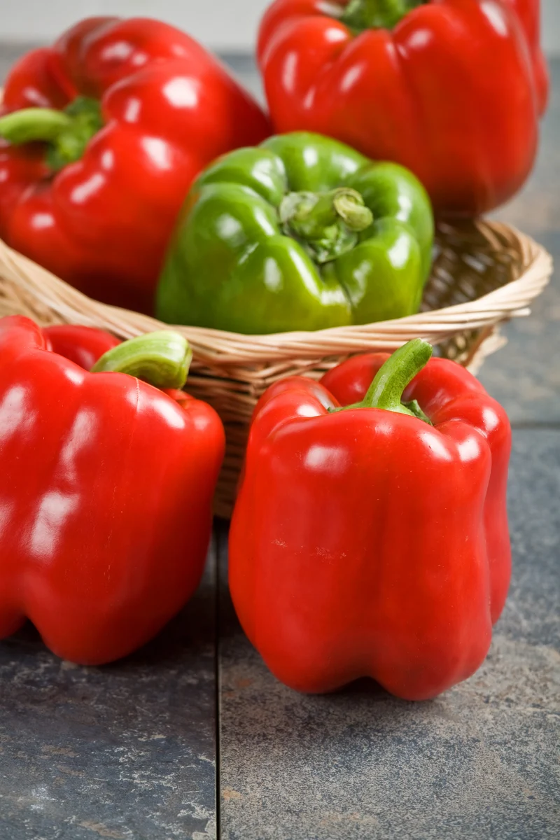 Red Knight Bell Pepper Seeds – High-Yield, Sweet & Early Maturing