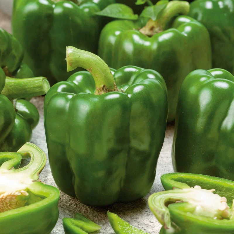 Emerald Giant Bell Pepper Seeds – Heirloom, Sweet & High-Yielding
