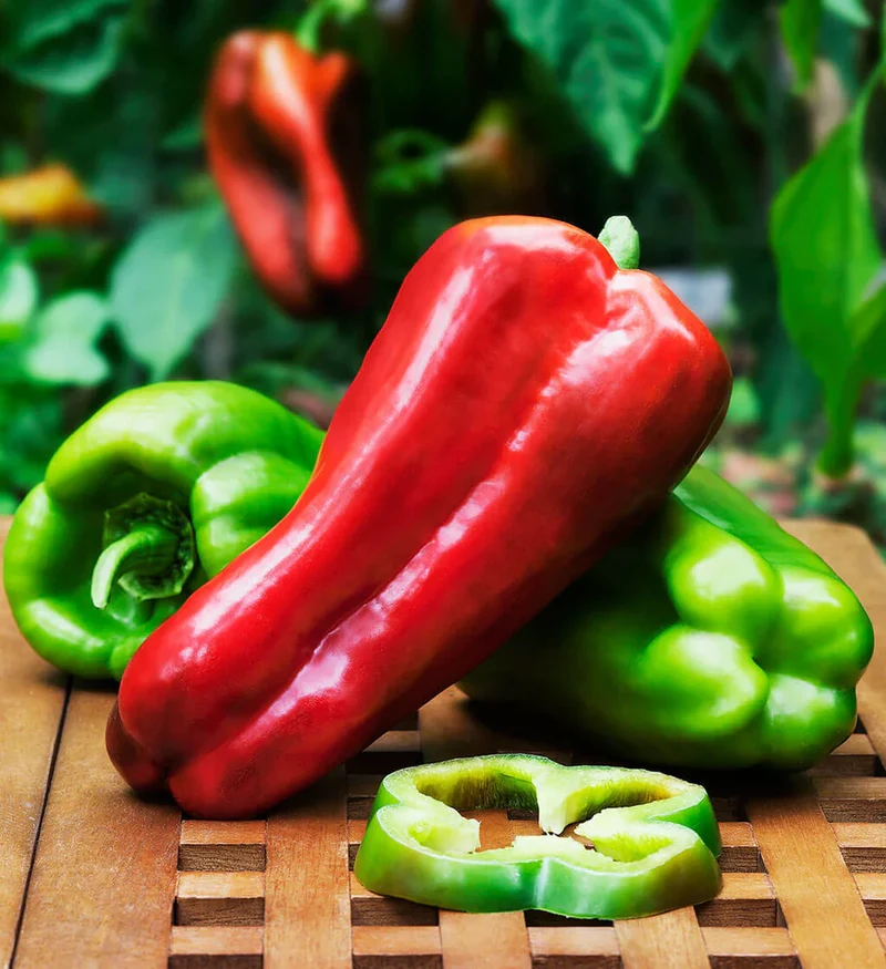 Big Bertha Bell Pepper Seeds – Extra-Large, Sweet & Crisp Peppers