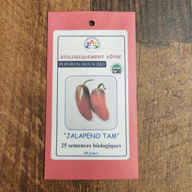 Jalapeño ‘TAM’ bio ( Capsicum annuum ‘Jalapeño TAM’)