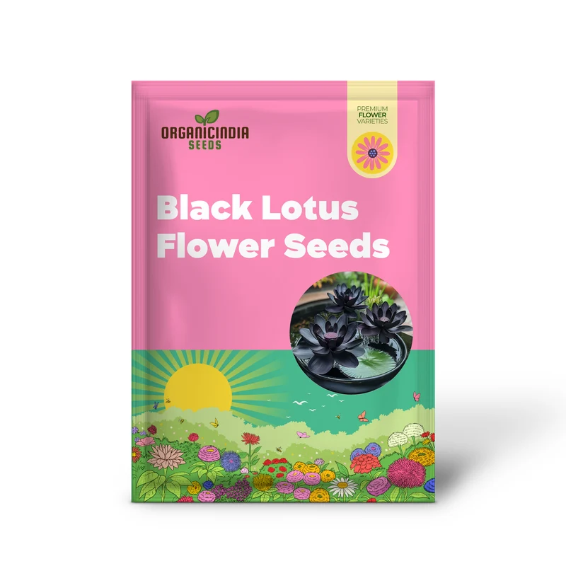 Premium Black Lotus Flower Seeds, Grow Exotic And Rare Blooms