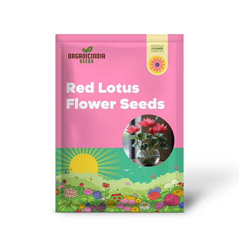Premium Red Lotus Flower Seeds, Grow Stunning Blooms
