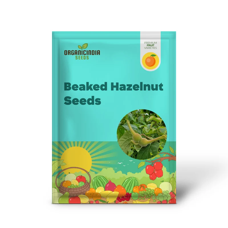 Beaked Hazelnut (Corylus cornuta) – Seeds