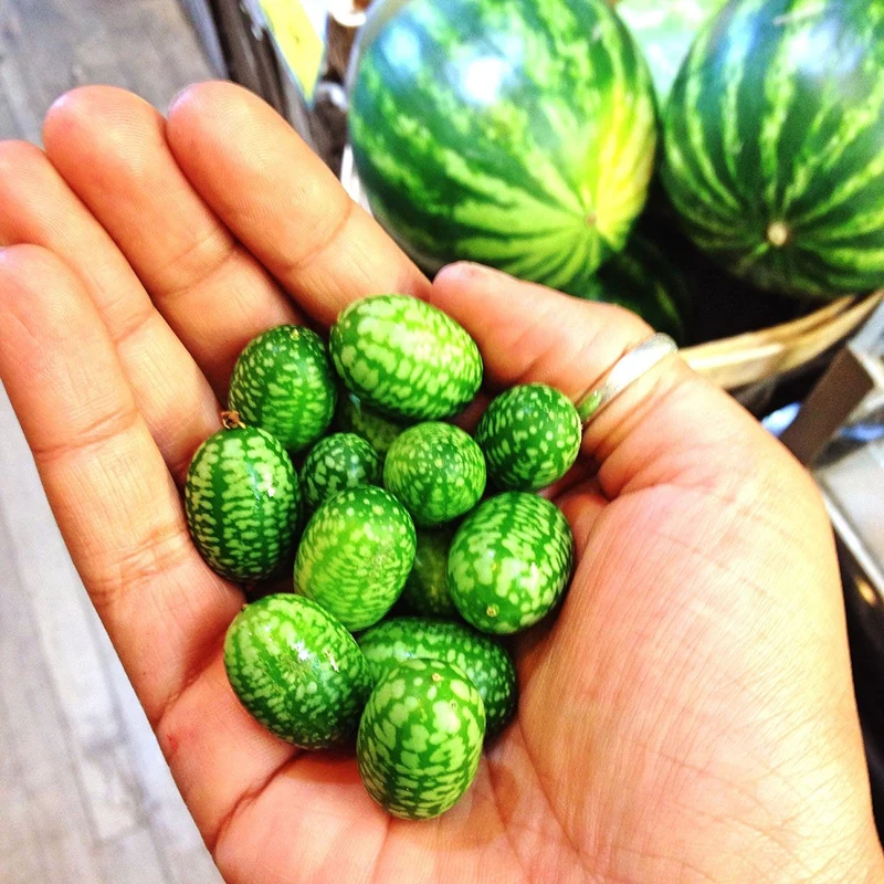 Cucamelon Seeds for Easy Planting - Grow Refreshing, Unique Fruits in Your Garden
