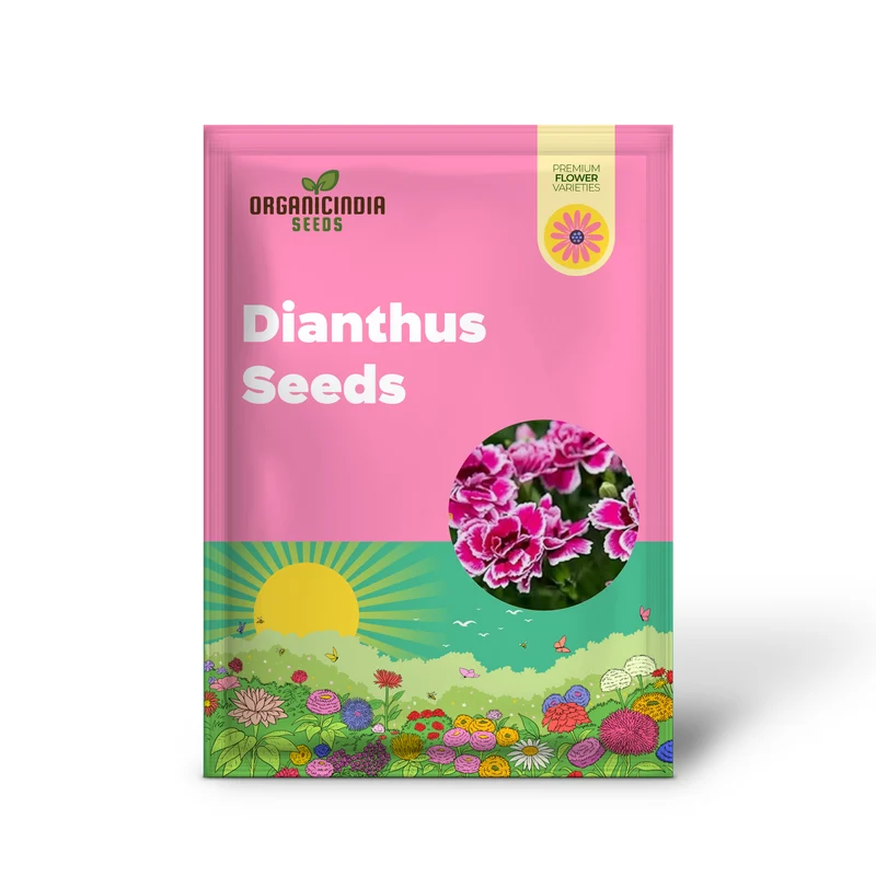 Pink Double-Flowered Dianthus Seeds – Easy-Grow Garden Blooms