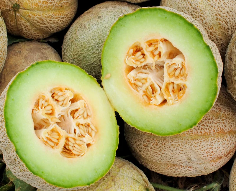 Green Flesh Rocky Ford Cantaloupe Seeds
