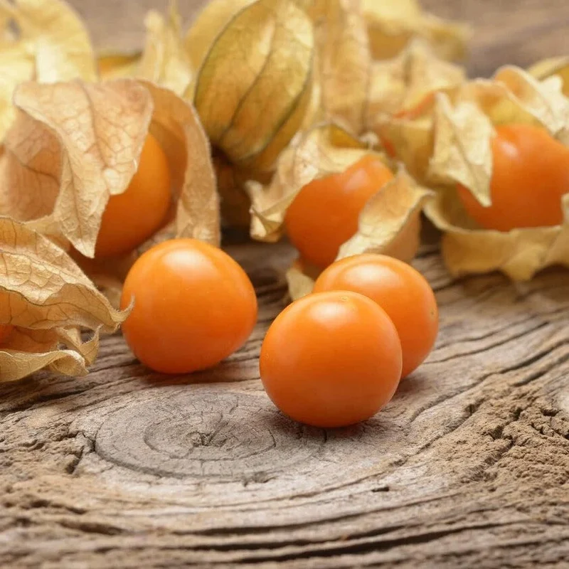 Pineapple Tomatillo Fruit Seeds