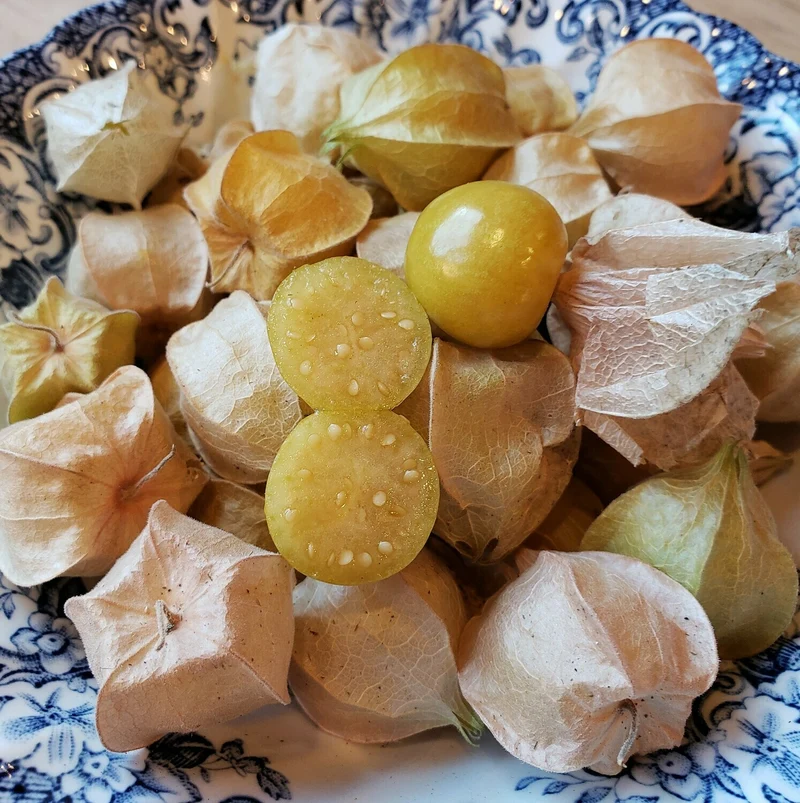 Peruvian Ground Cherry Seeds
