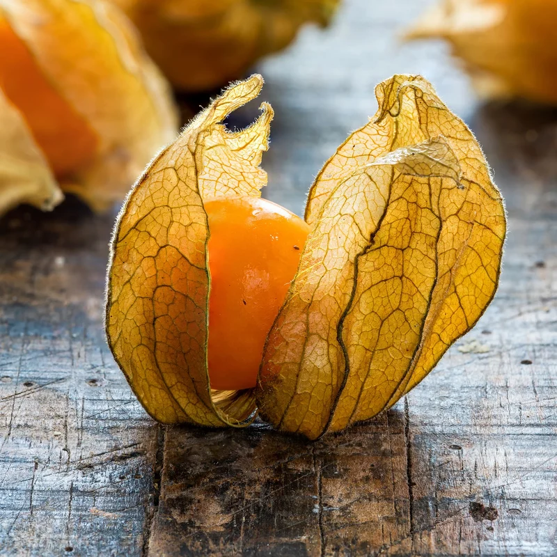 Peruvian Ground Cherry Seeds