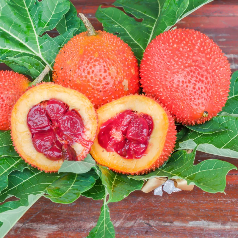 Gac Fruit Seeds