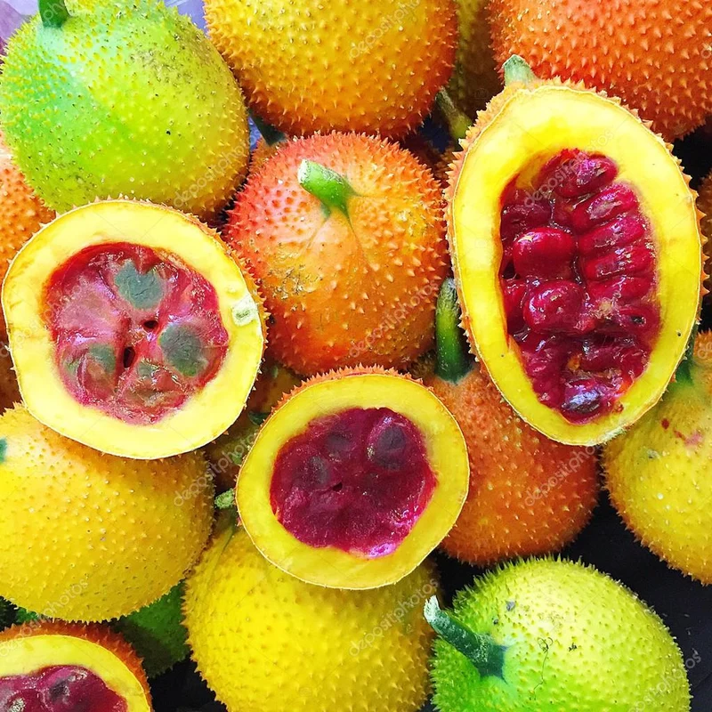 Gac Fruit Seeds