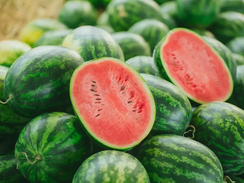 CAL Sweet Supreme Watermelon Fruit Seeds