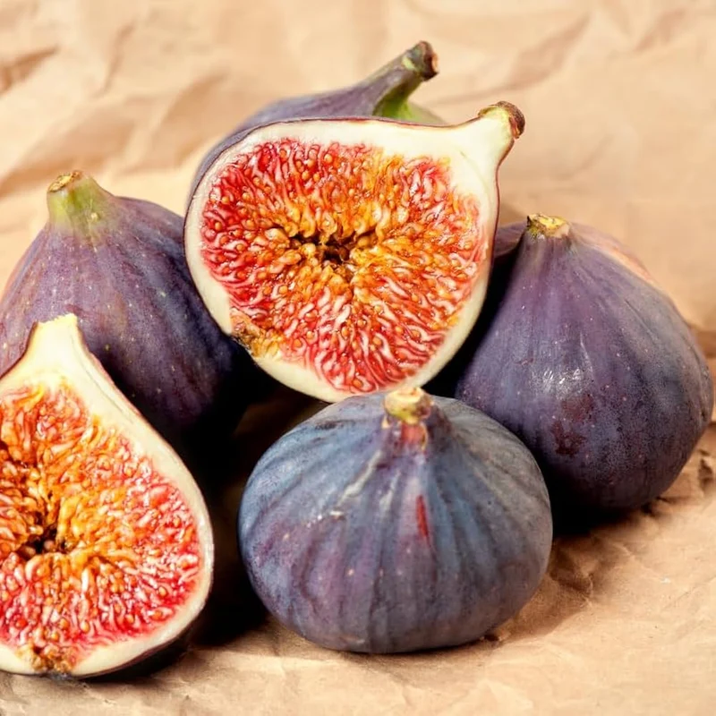Common Edible Fig Fruit Seeds