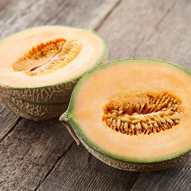 Minnesota Midget Cantaloupe Seeds