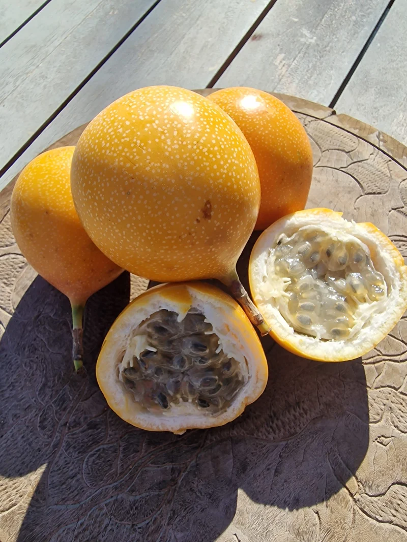 Sweet Granadilla Fruit Seeds