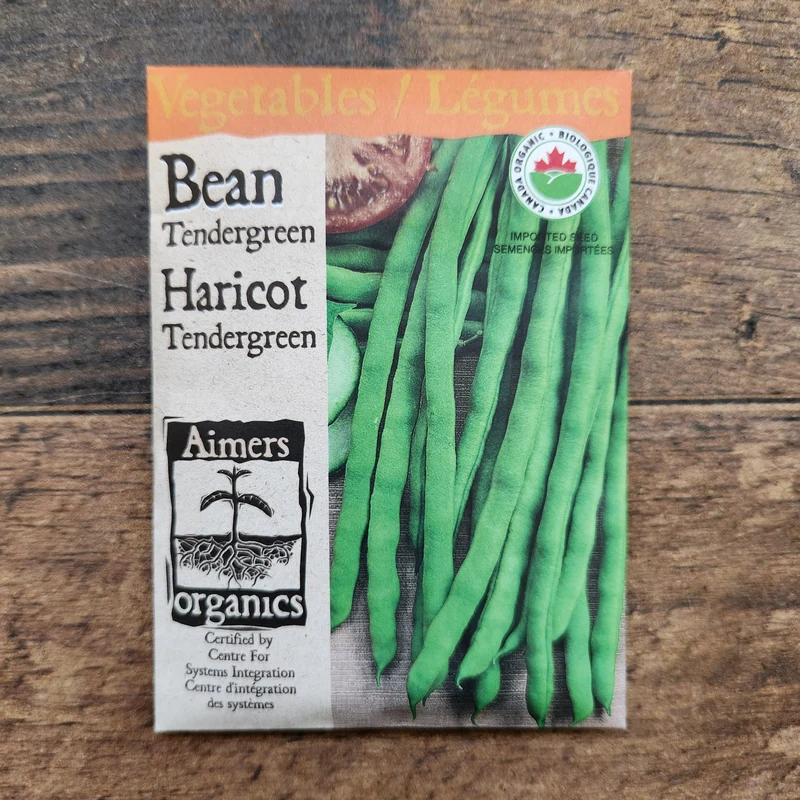 Haricot nain 'Tendergreen' bio