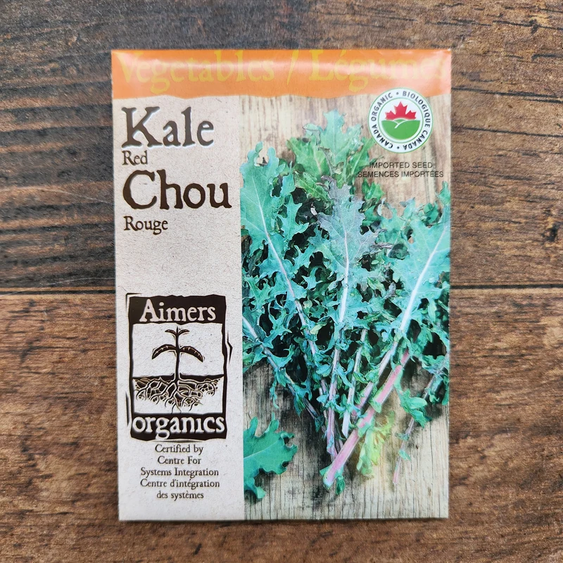 Chou frisé rouge bio