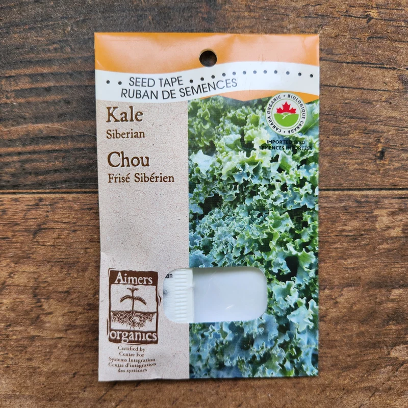 Chou frisé sibérien sur ruban bio