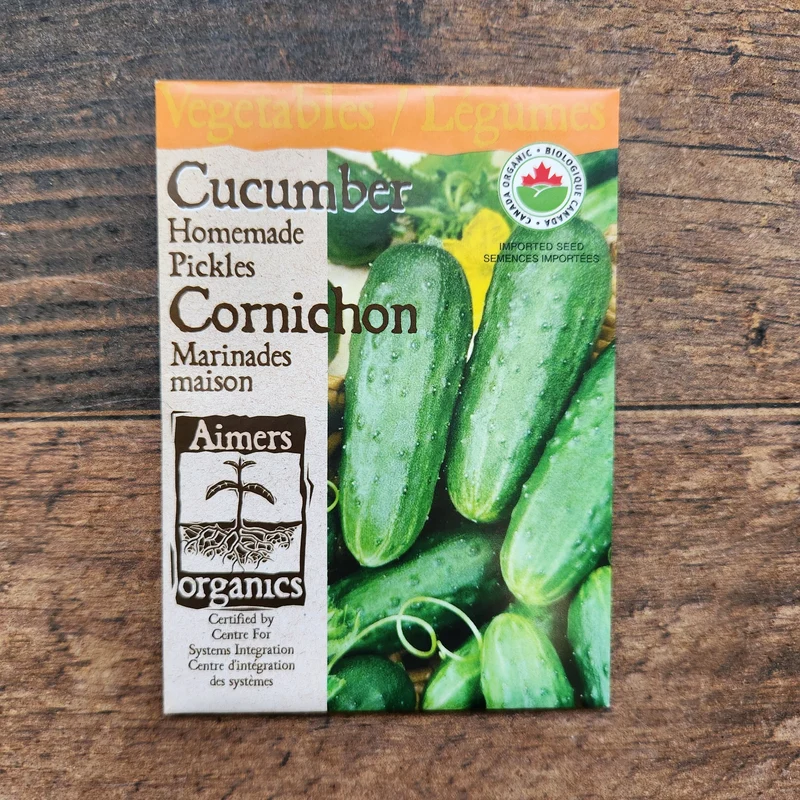 Concombre à cornichon pour marinades maison bio