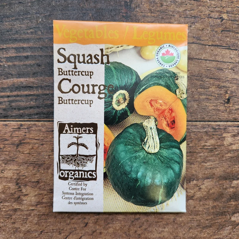 Courge 'Buttercup' bio