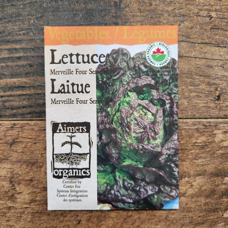 Laitue 'Merveille des Quatre Saisons' bio