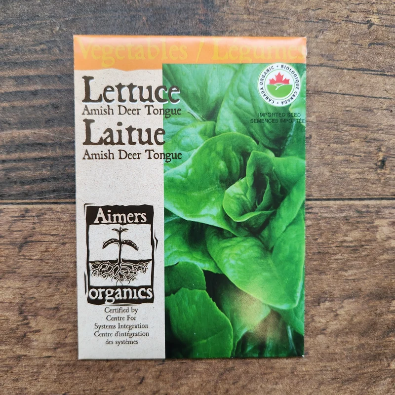 Laitue 'Amish Deer Tongue' bio