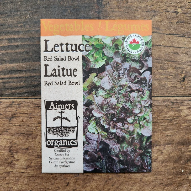 Laitue 'Red Salad Bowl' bio