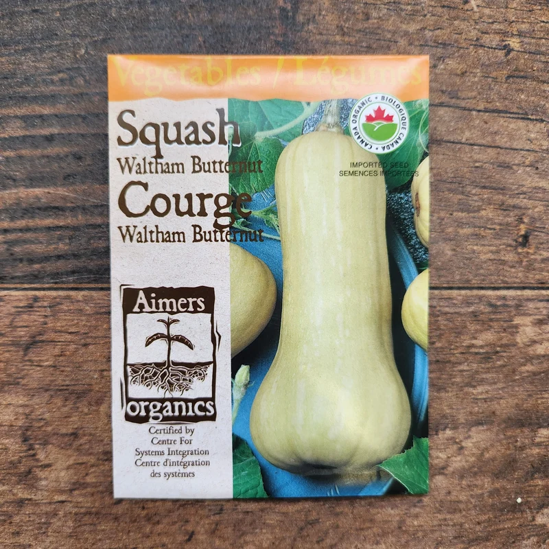 Courge 'Waltham Butternut' bio