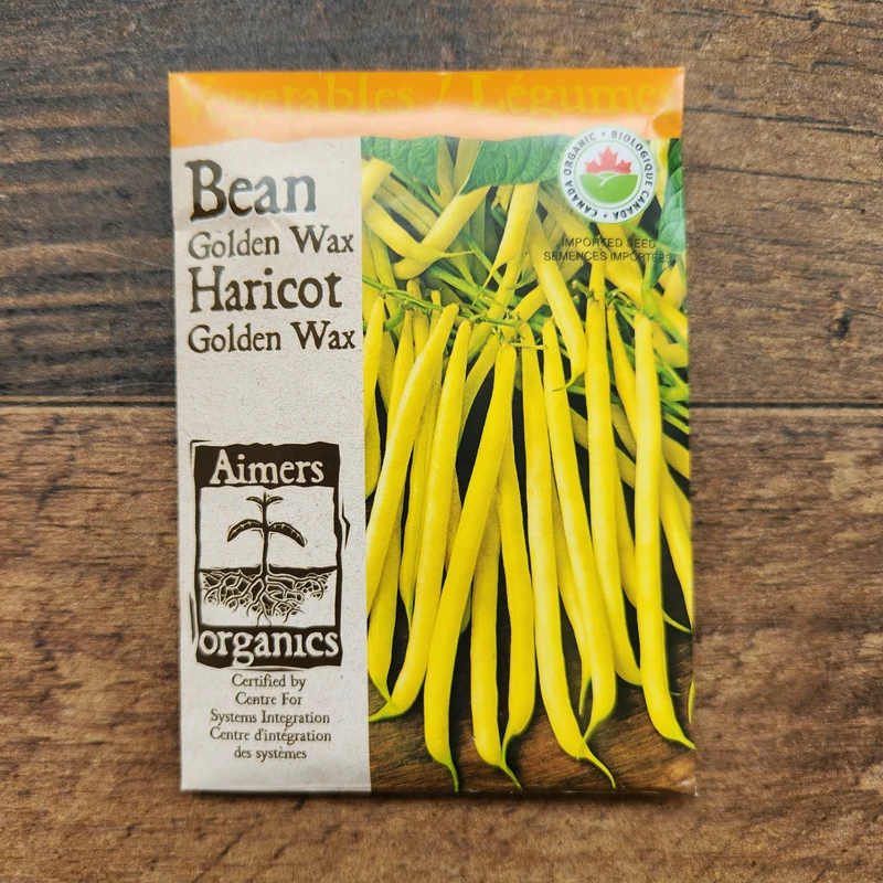 Haricot nain 'Golden Wax' bio