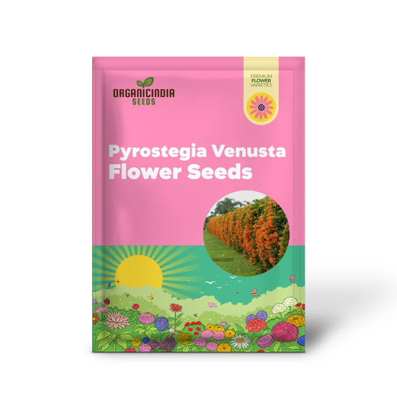 Orange Pyrostegia Venusta Flower Seeds for Gardening And Planting