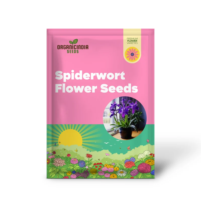 Tradescantia Spiderwort Seeds – Colorful Three-Petal Blooms for Borders, Wildlife Gardens, Containers & Easy Perennial Landscaping