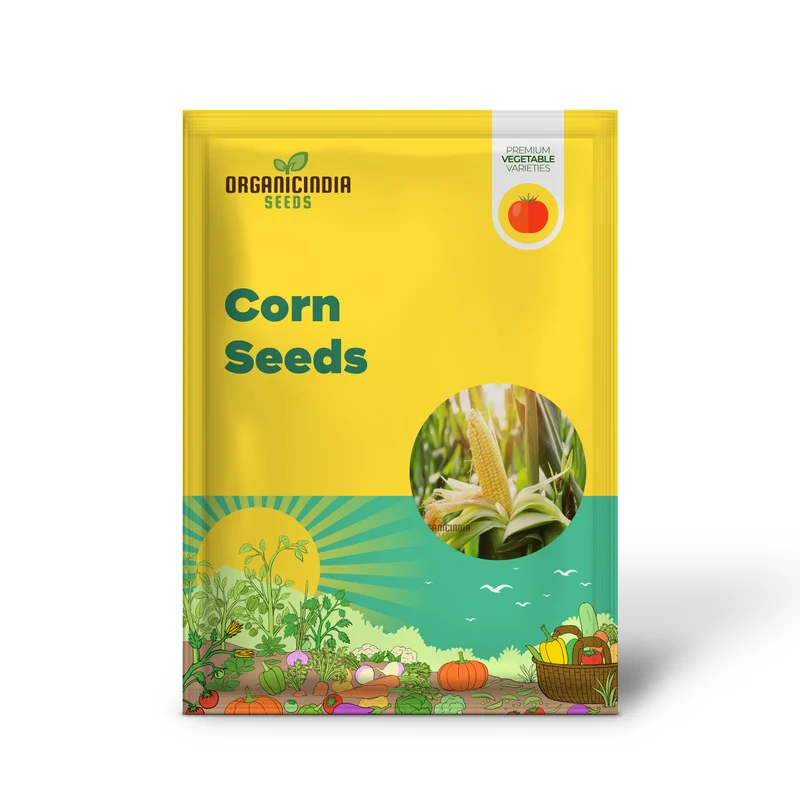 High-Yield Monsanto Corn Seeds, Superior Quality Planting Seeds for Robust Growth