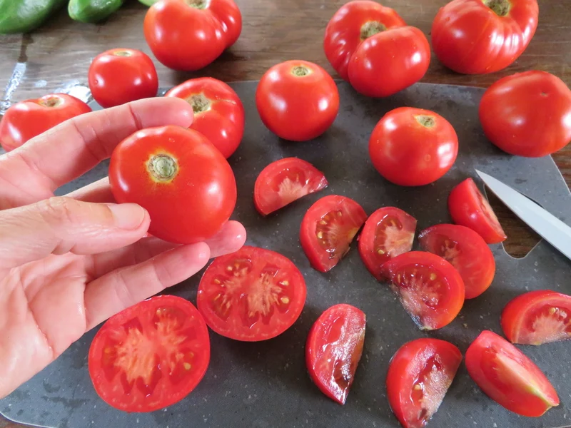 Tomate ‘Bétalux’ ( Solanum lycopersicum )