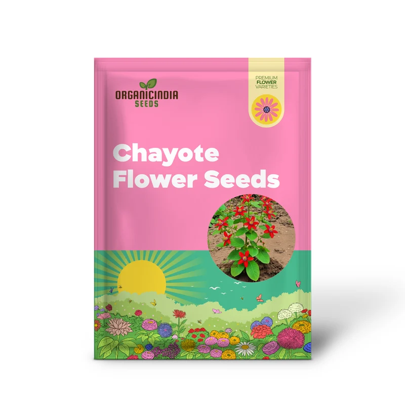 Cultivate Abundance, Grow Your Own Bounty with Chayote Flower Seeds for Vibrant Plantings